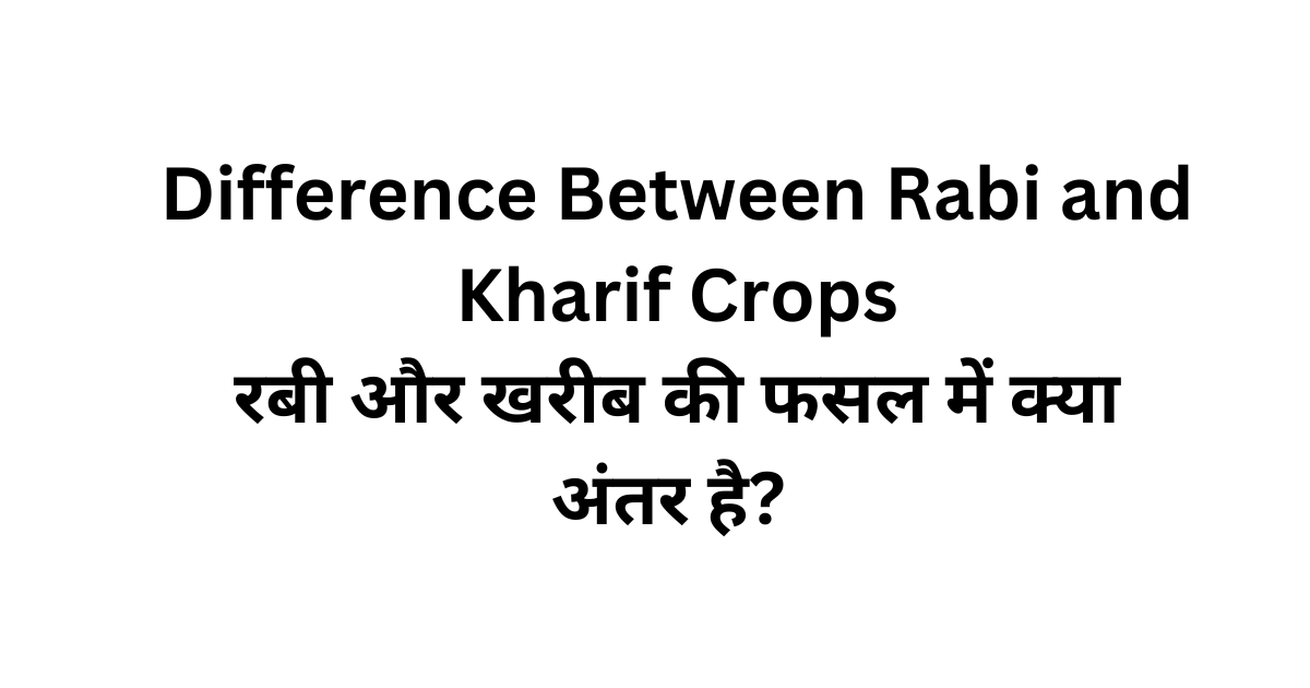 Difference Between Rabi and Kharif Crops