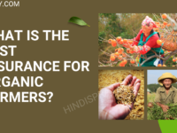 What Is The Best Insurance For Organic Farmers?