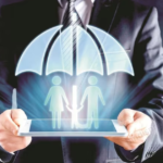 What Does An Insurer Do And Why Are They Important?