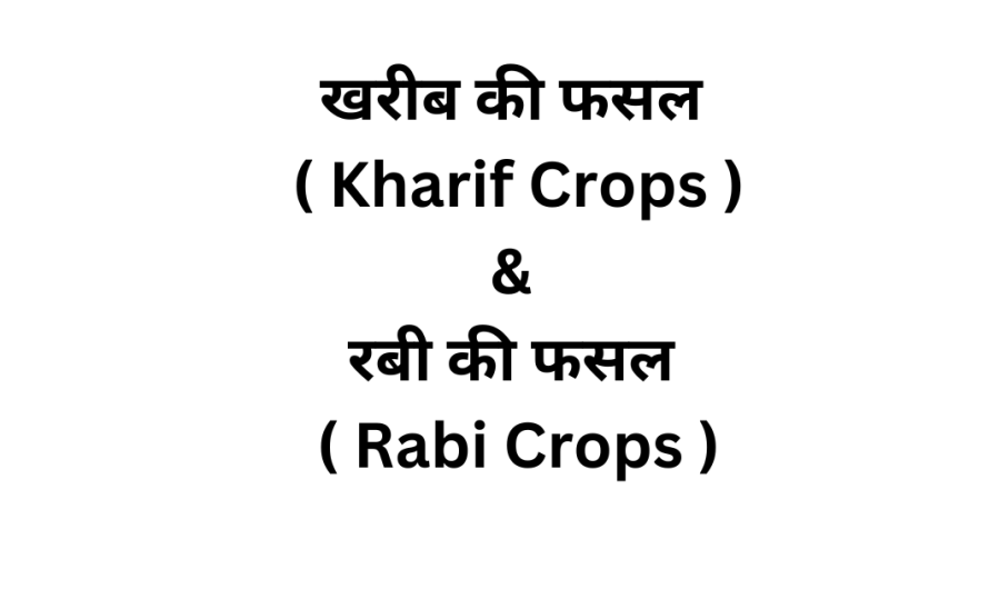 Kharif Crops And Rabi Rabi Crops Kon Kon Si Hoti Hain